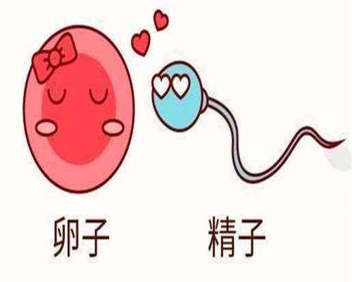 精子存活率检查不育