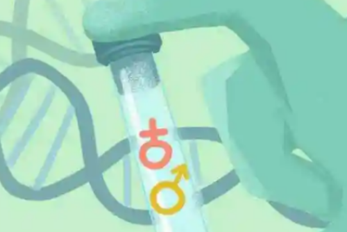 原发性不孕试管