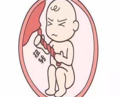 不孕不育检查